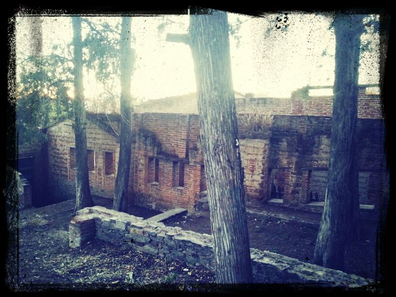 architecture, built structure, building exterior, window, abandoned, indoors, old, damaged, obsolete, transfer print, deterioration, run-down, auto post production filter, house, tree, ruined, weathered, day, sunlight, no people