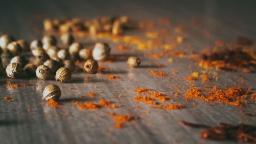 Close-up of orange flowers on table