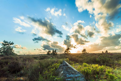 Scenic view of field against sky during sunset