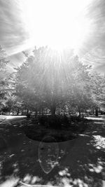 Scenic view of park against sky