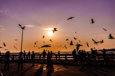 Silhouette birds flying over sea against sky during sunset