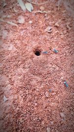 Full frame shot of sand on field