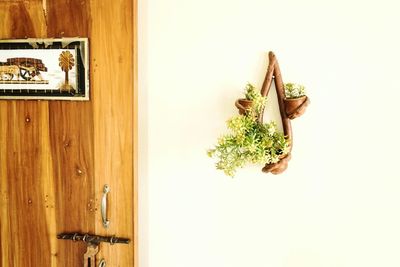 Potted plants hanging on wall at home