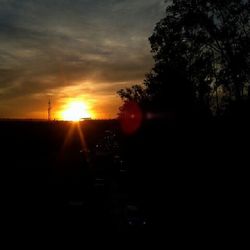 Silhouette of trees at sunset