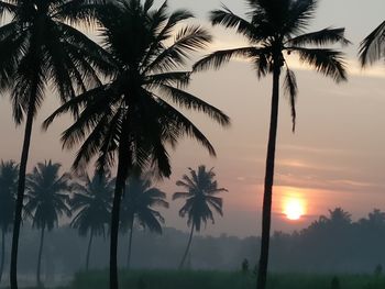 Silhouette palm trees against sky during sunset