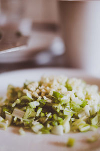 Close-up of salad in plate