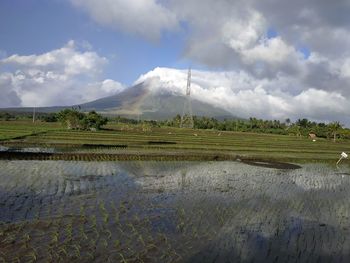 Scenic view of farm against sky