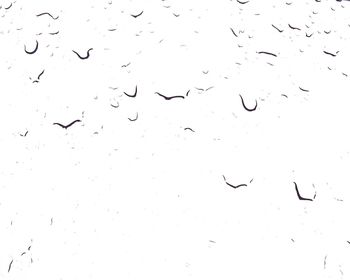 Full frame shot of birds flying against sky