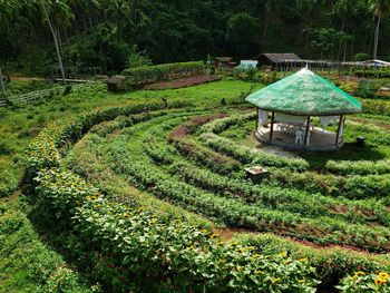 Scenic view of agricultural field