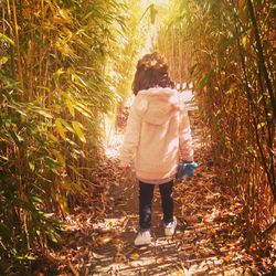 Rear view of woman walking on street amidst trees