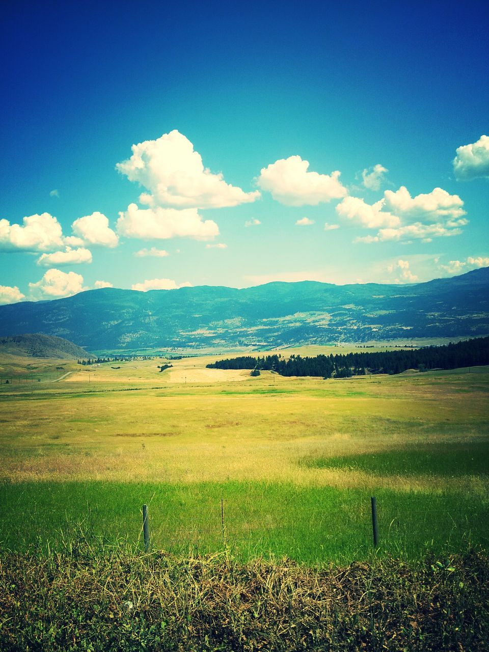 tranquil scene, landscape, sky, tranquility, scenics, mountain, beauty in nature, field, blue, mountain range, nature, grass, cloud, cloud - sky, rural scene, horizon over land, idyllic, non-urban scene, countryside, remote