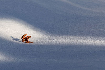 Abstract landscape of the beauty of winter on the snowy mountains on a very cold day 