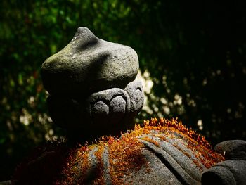 Close-up of animal sculpture on rock