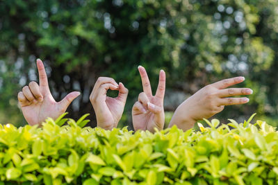 Close-up of people gesturing by plants