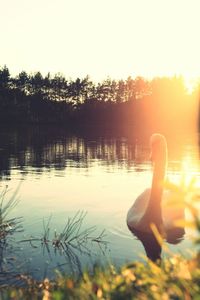 Scenic view of lake at sunset