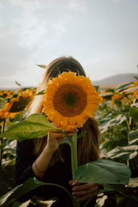 Close-up of sunflower on field against sky