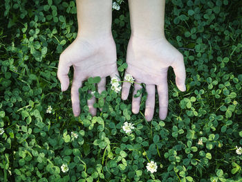 High angle view of human hand