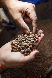 Close-up of hands holding coffee beans