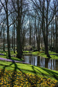 Scenic view of park during rainy season