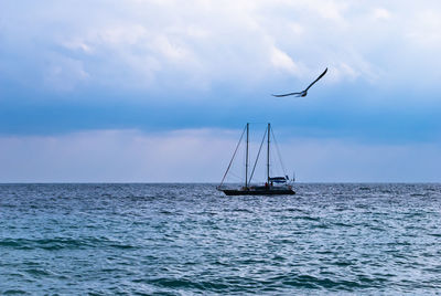 Sailboat sailing in sea