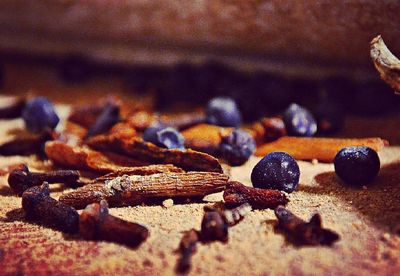 Close-up of plant against blurred background