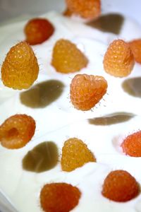 Close-up of served food