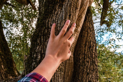 Close-up of hand touching tree trunk in forest