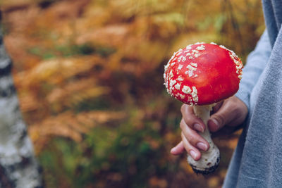 Midsection of woman holding mushroom at forest