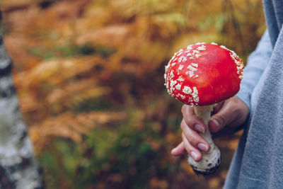 Close-up of hand holding strawberry