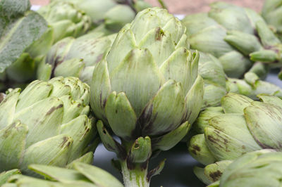 Close-up of vegetables for sale in market