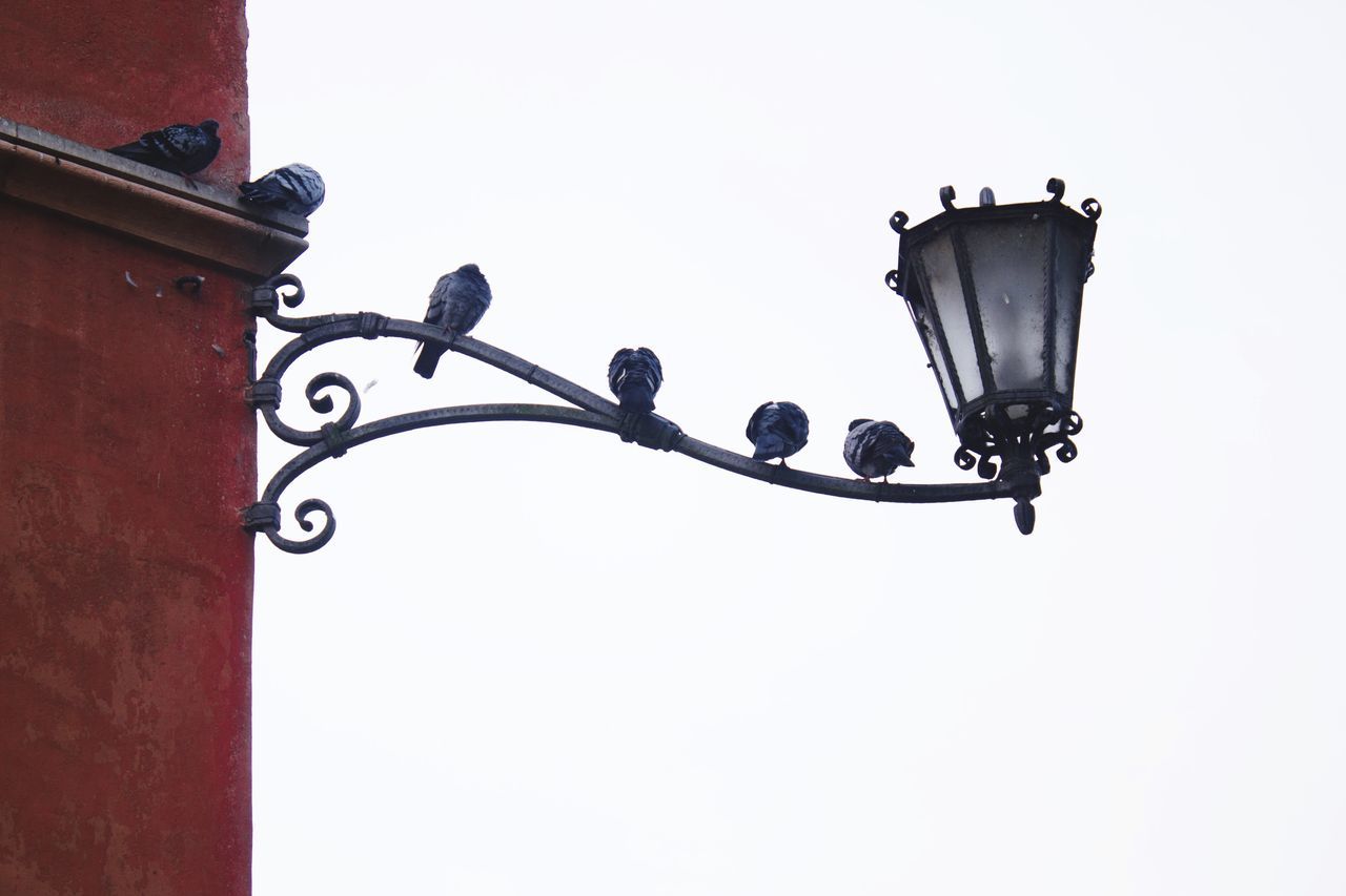 low angle view, clear sky, street light, lighting equipment, copy space, hanging, pole, built structure, no people, blue, cable, lamp post, architecture, lantern, outdoors, day, electricity, electric light, sky, metal