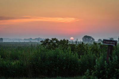 Plants and trees on field against sky during sunset