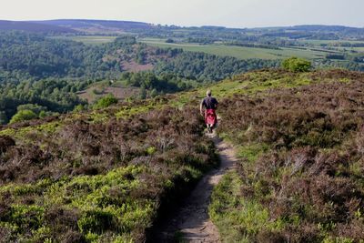 Rear view of woman walking on trail