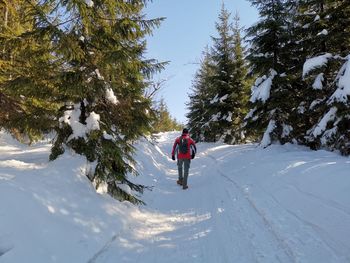 Rear view of person walking on snow covered mountain