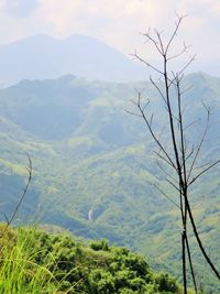 Scenic view of tree mountains against sky