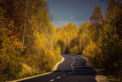 Road amidst trees in forest during autumn