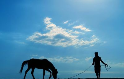 Silhouette man riding horse standing against sky