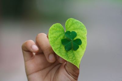 Close-up of hand holding small heart