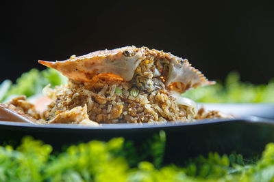 Close-up of food in plate