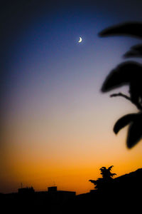 High section of silhouette trees against sky at sunset