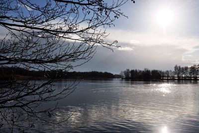 Sun shining over lake