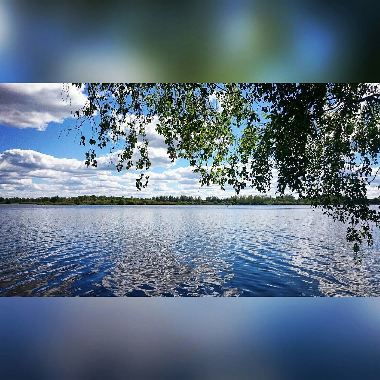 water, sky, tranquility, tranquil scene, lake, tree, nature, waterfront, scenics, beauty in nature, reflection, river, cloud - sky, cloud, rippled, day, growth, no people, outdoors, calm