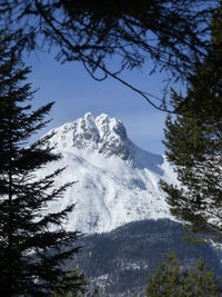 Winter hiking tour to pleisenspitze mountain, tyrol, austria