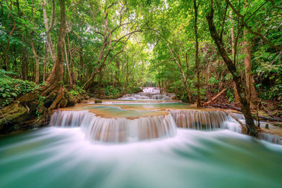 Scenic view of waterfall in forest