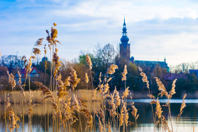 Mid distance view of church by lake against sky