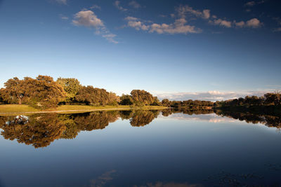 Reflection of trees in lake against sky