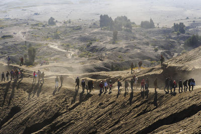 High angle view of people on landscape