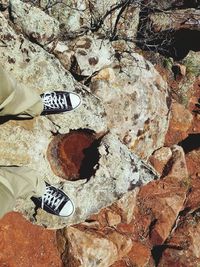 shoe