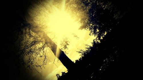 Low angle view of silhouette trees against sky