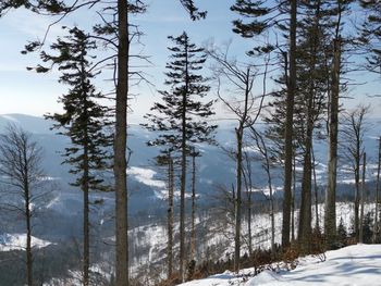 Snow covered mountains during winter